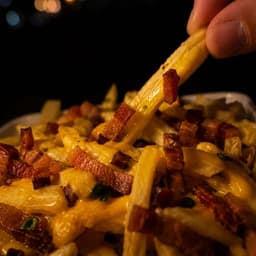 Fritas Especial com catupiry